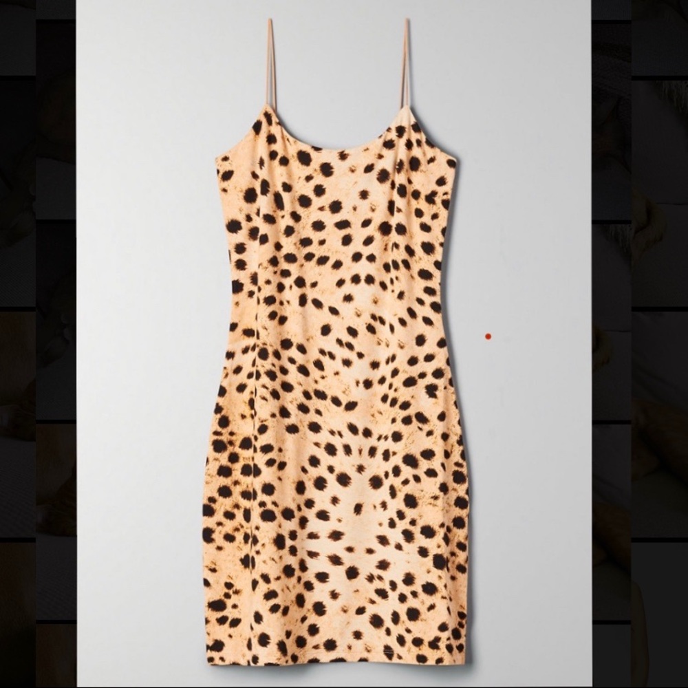 Wilfred Free Tiny Dress